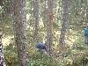 2003_0517_bos sven 8 R2.jpg